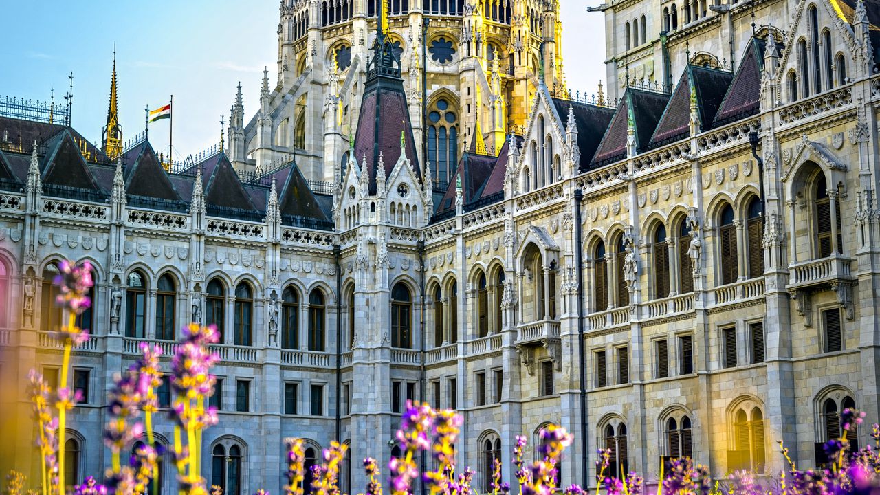 Wallpaper cathedral, flowers, architecture