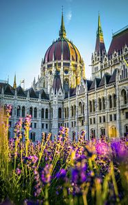 Preview wallpaper cathedral, flowers, architecture