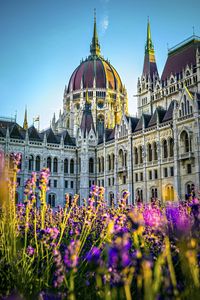 Preview wallpaper cathedral, flowers, architecture