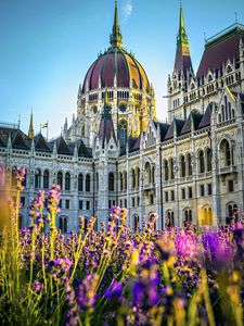 Preview wallpaper cathedral, flowers, architecture