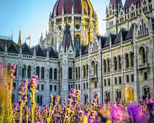 Preview wallpaper cathedral, flowers, architecture