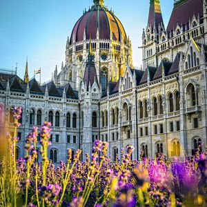 Preview wallpaper cathedral, flowers, architecture