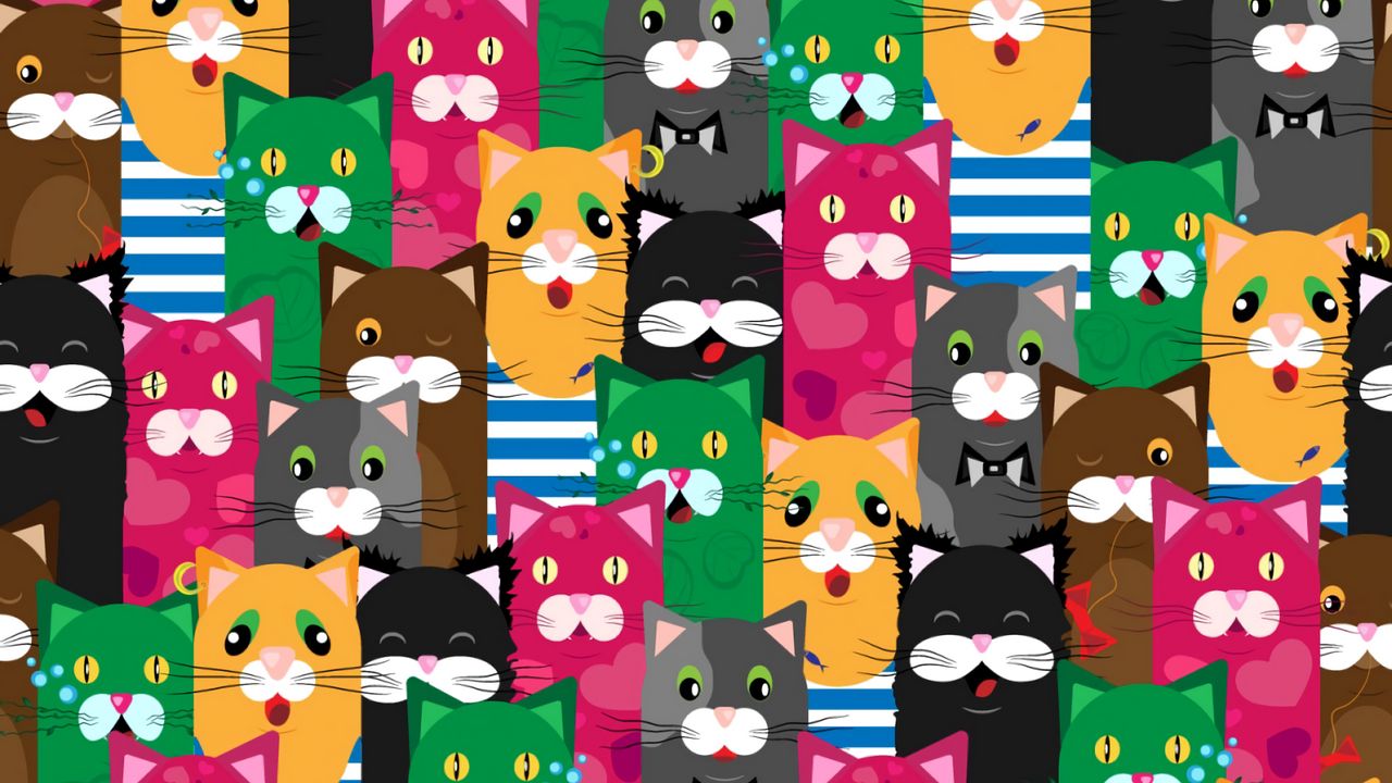 Wallpaper cats, funny, colorful, pattern, texture