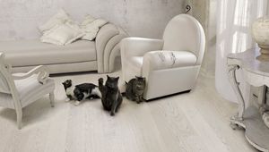 Preview wallpaper cats, three, furniture, sofa, chair, room, interior