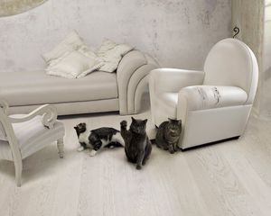 Preview wallpaper cats, three, furniture, sofa, chair, room, interior