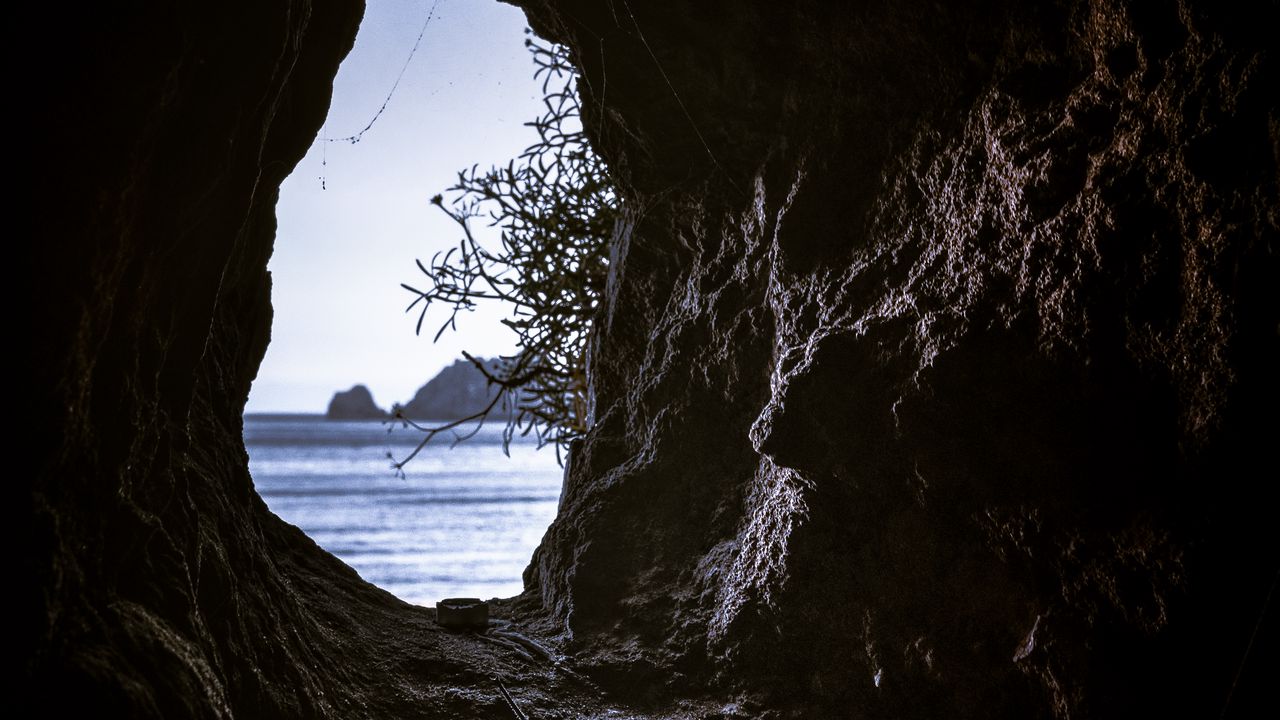 Wallpaper cave, branches, view, sea