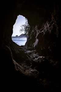 Preview wallpaper cave, branches, view, sea