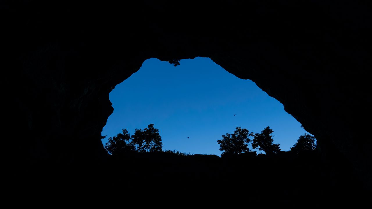 Wallpaper cave, bushes, bird, sky, black