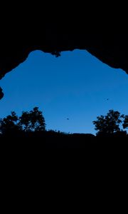 Preview wallpaper cave, bushes, bird, sky, black