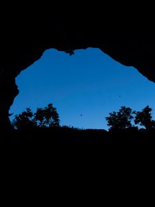 Preview wallpaper cave, bushes, bird, sky, black