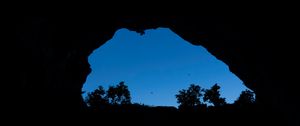 Preview wallpaper cave, bushes, bird, sky, black