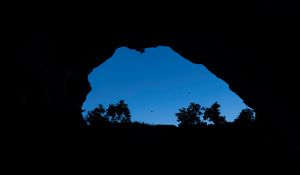 Preview wallpaper cave, bushes, bird, sky, black