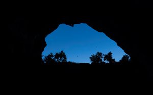 Preview wallpaper cave, bushes, bird, sky, black