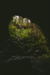 Preview wallpaper cave, dark, rock, stairs, nature