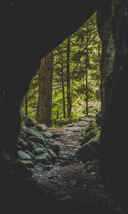 Preview wallpaper cave, forest, trees, stones, path