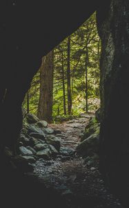 Preview wallpaper cave, forest, trees, stones, path