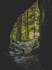 Preview wallpaper cave, forest, trees, stones, path