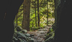 Preview wallpaper cave, forest, trees, stones, path
