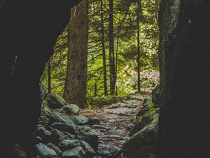 Preview wallpaper cave, forest, trees, stones, path