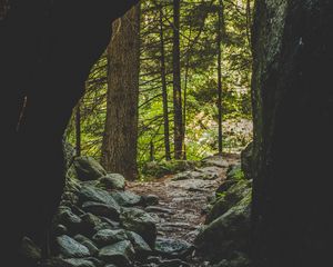 Preview wallpaper cave, forest, trees, stones, path