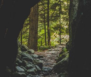 Preview wallpaper cave, forest, trees, stones, path