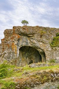 Preview wallpaper cave, rock, tree