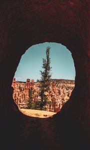 Preview wallpaper cave, tree, canyon, cliff, rocks