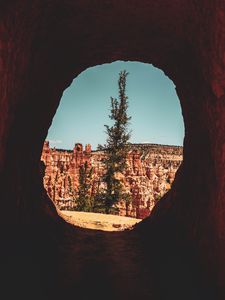 Preview wallpaper cave, tree, canyon, cliff, rocks