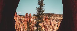 Preview wallpaper cave, tree, canyon, cliff, rocks