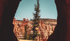 Preview wallpaper cave, tree, canyon, cliff, rocks