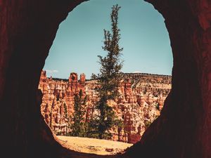 Preview wallpaper cave, tree, canyon, cliff, rocks