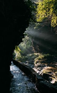 Preview wallpaper cave, water, branches, sunlight, dark