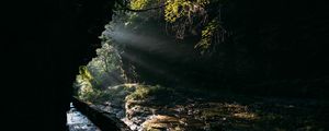 Preview wallpaper cave, water, branches, sunlight, dark