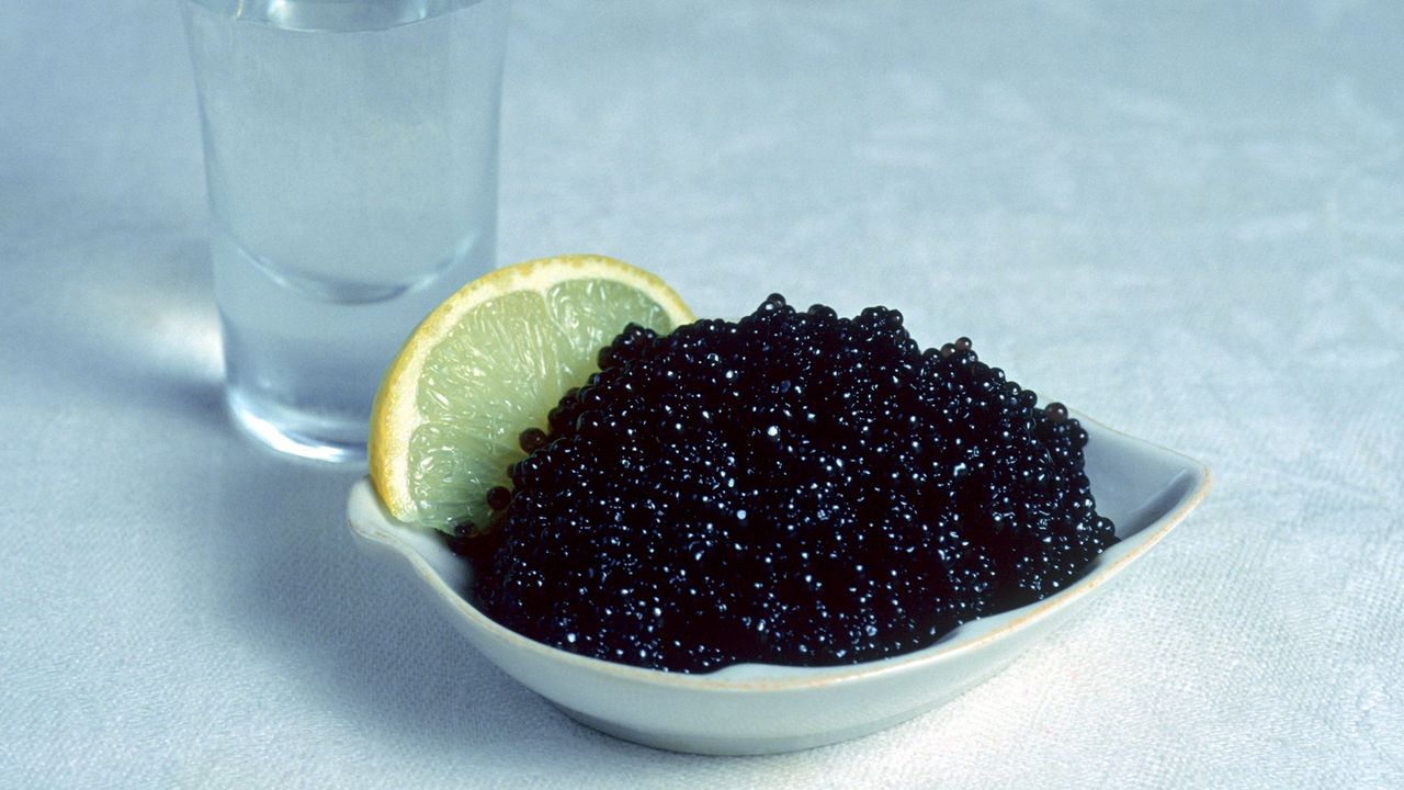 Wallpaper caviar, lemon, dishes, drink