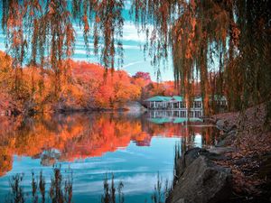 Preview wallpaper central park, new york, autumn, beautiful landscape