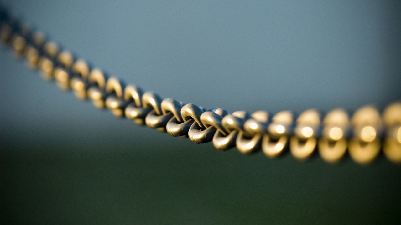 Chain support