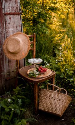 240x400 Wallpaper chair, berries, marshmallows, dessert, picnic, nature