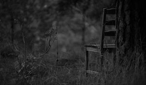 Preview wallpaper chair, bw, forest, grass, gloomy