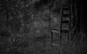 Preview wallpaper chair, bw, forest, grass, gloomy
