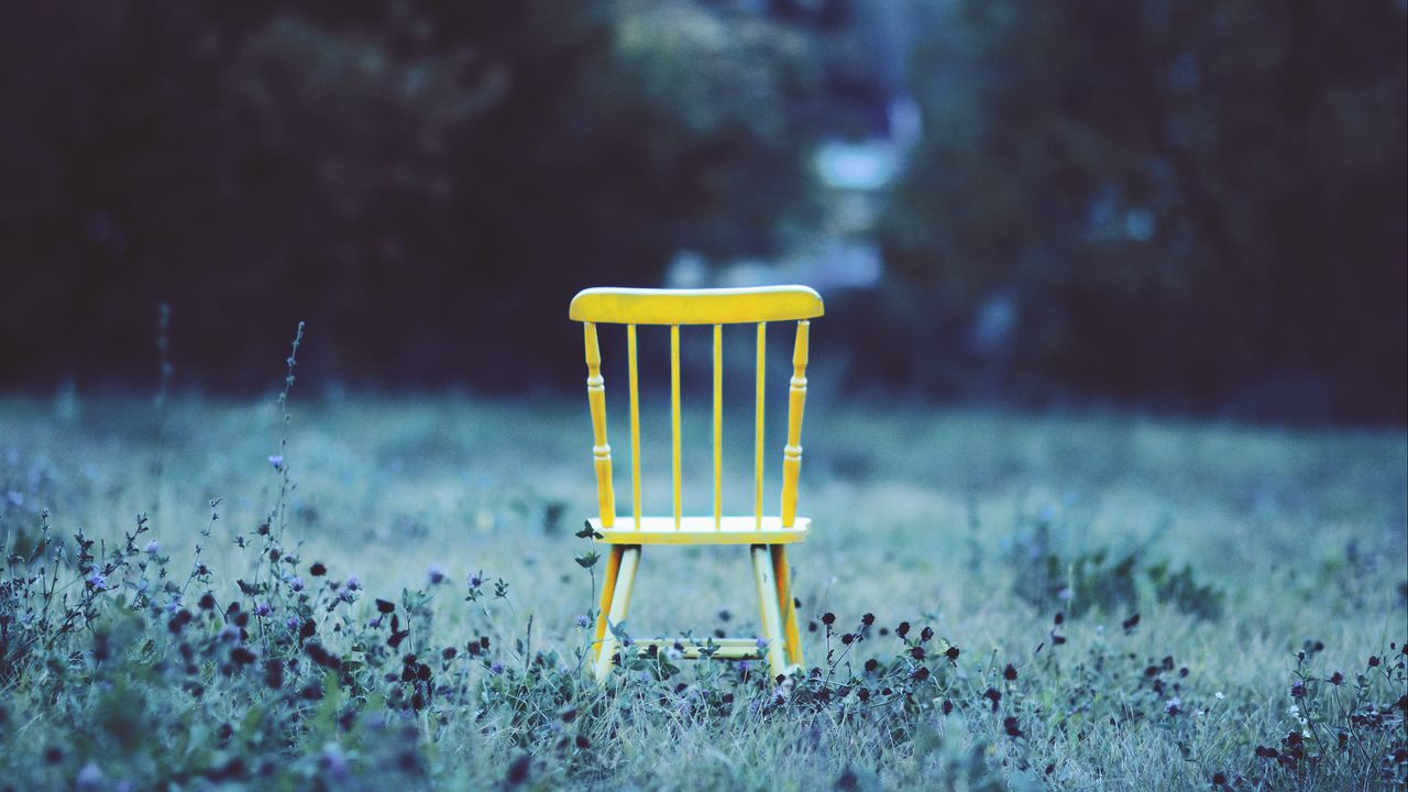 Wallpaper chair, field, grass, flowers, minimalism