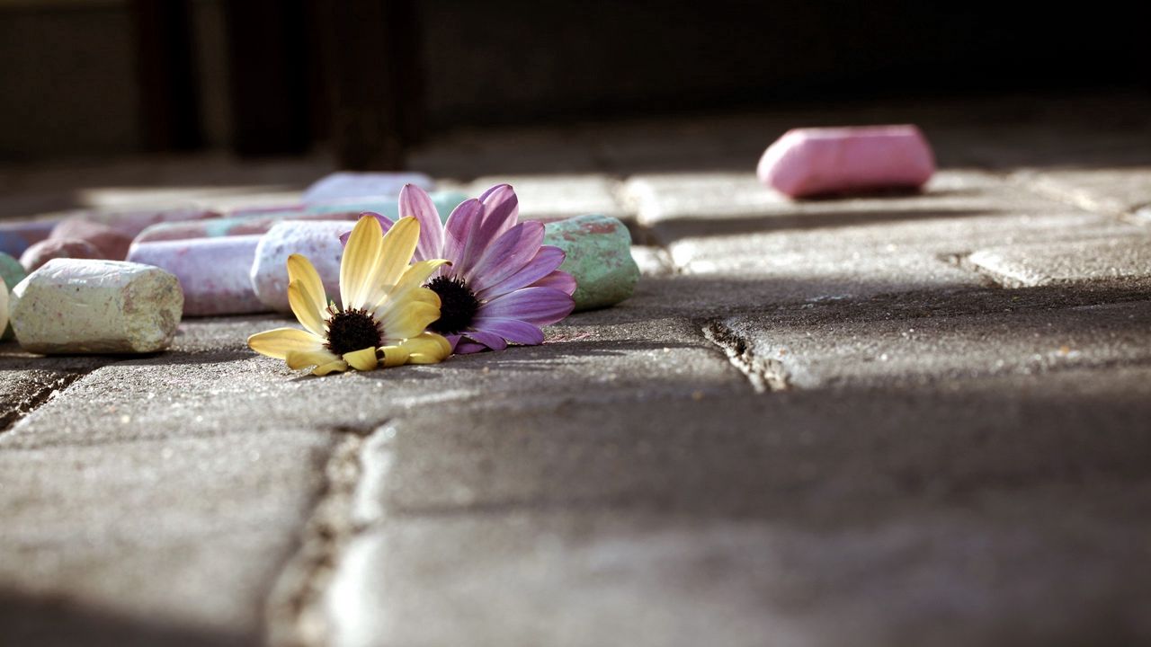 Wallpaper chalk, flowers, paint