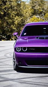 Preview wallpaper challenger, car, retro, front view