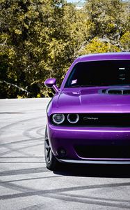 Preview wallpaper challenger, car, retro, front view