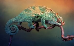 Preview wallpaper chameleon, handsome, lizard, branch, sit