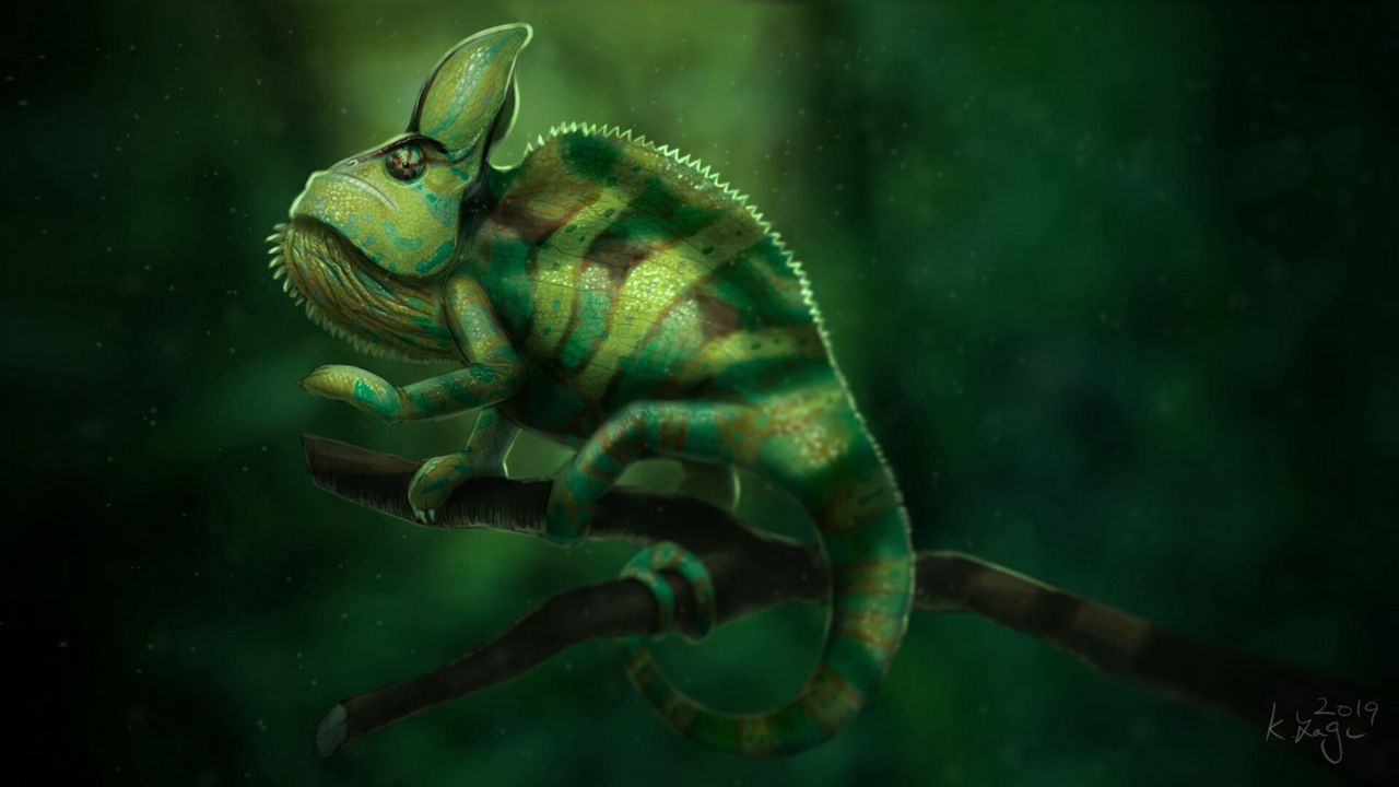 Wallpaper chameleon, lizard, green, branch, art