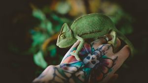 Preview wallpaper chameleon, lizard, tattoo, hand, reptile, green