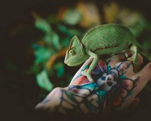 Preview wallpaper chameleon, lizard, tattoo, hand, reptile, green