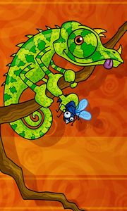 Preview wallpaper chameleon, reptile, green, branch, sit