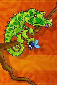 Preview wallpaper chameleon, reptile, green, branch, sit