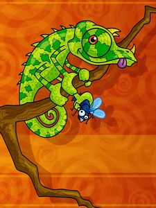 Preview wallpaper chameleon, reptile, green, branch, sit